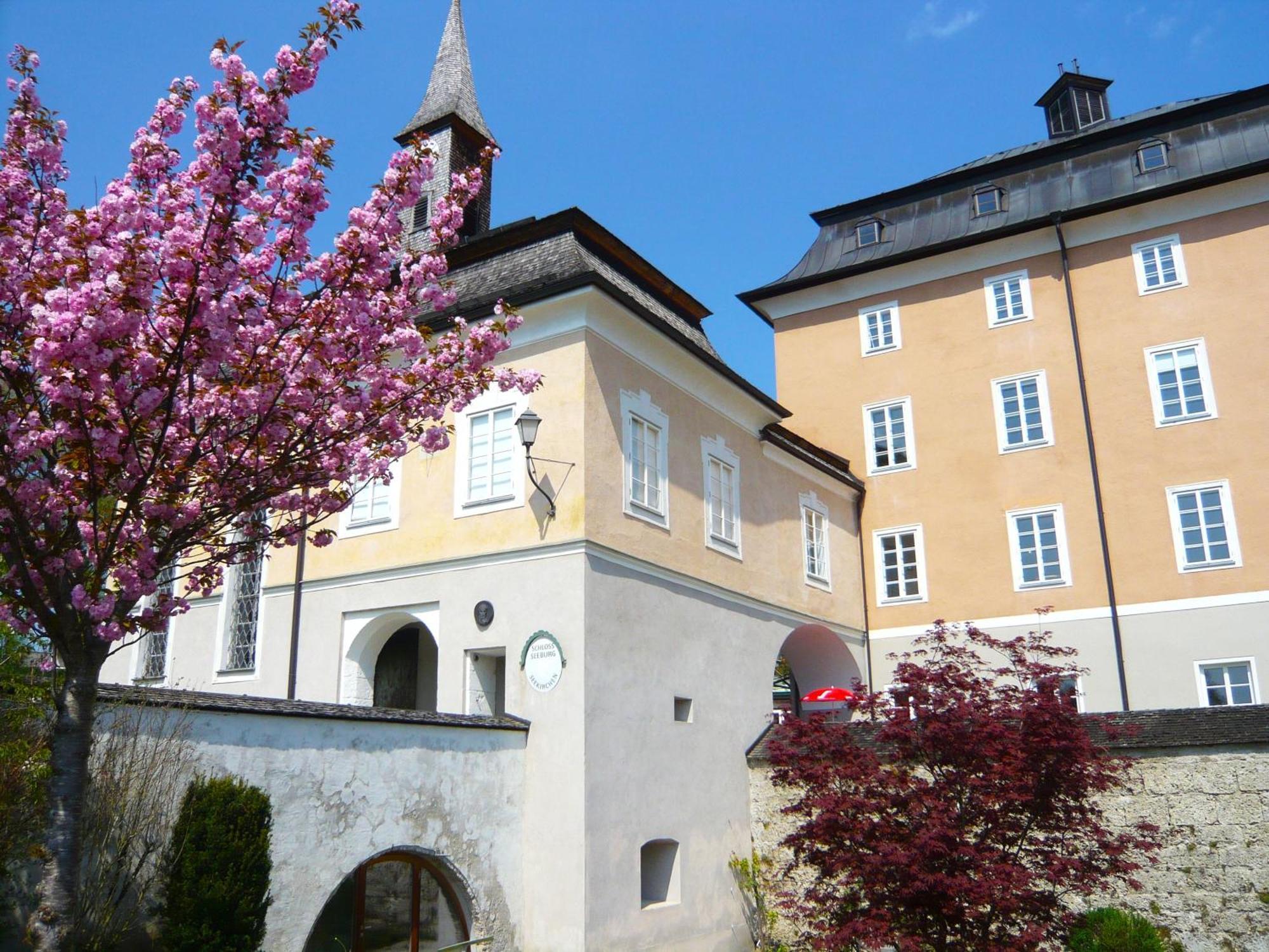 Apartmán Haus Am Weinberg Seekirchen am Wallersee Exteriér fotografie