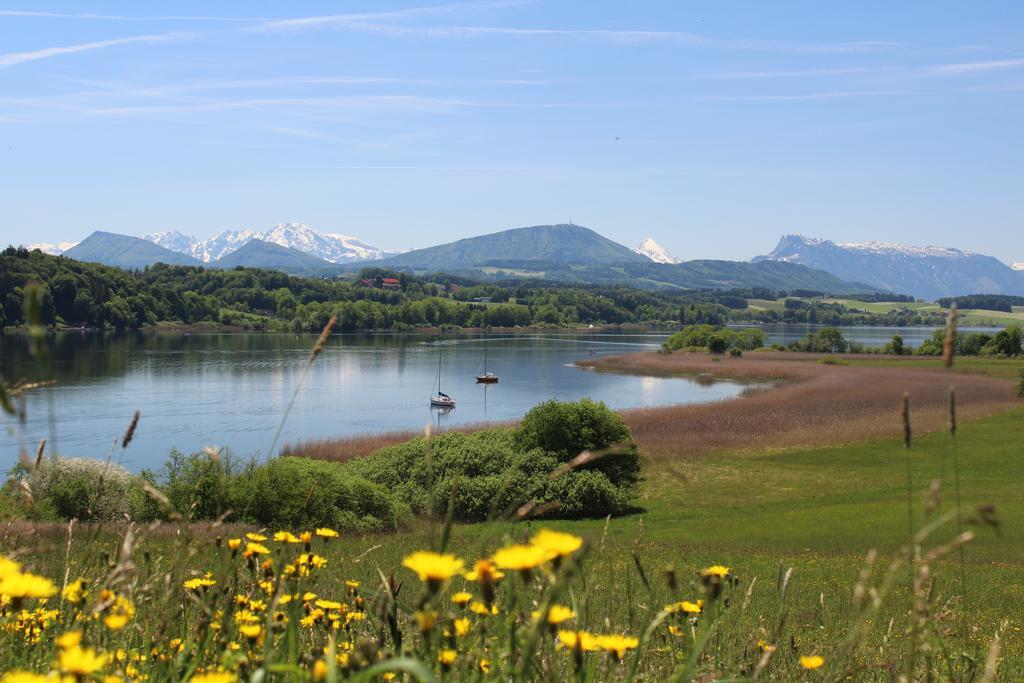 Apartmán Haus Am Weinberg Seekirchen am Wallersee Exteriér fotografie